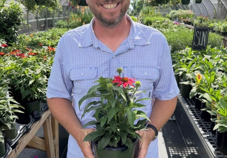 1 gallon perennial